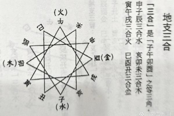 地支丑的象征意义及其在命理中的作用解析