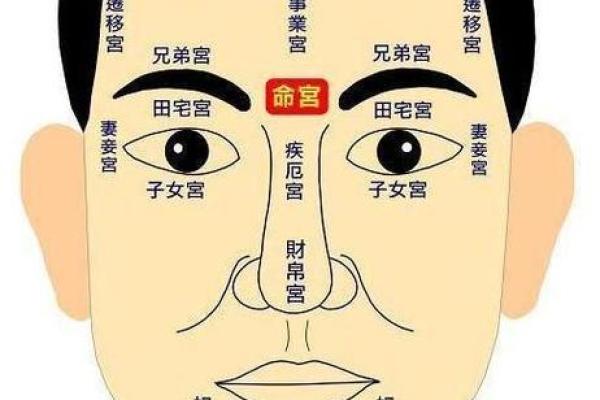 男性面相痣图：从痣的位置看命运