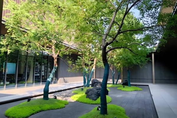 转运风水布局助力爱情幸福