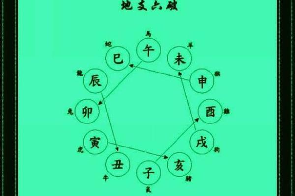 地支到底有多少种？一文揭晓
