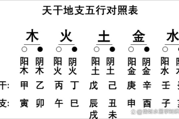 八字天干地支的基础解析与实际应用方法