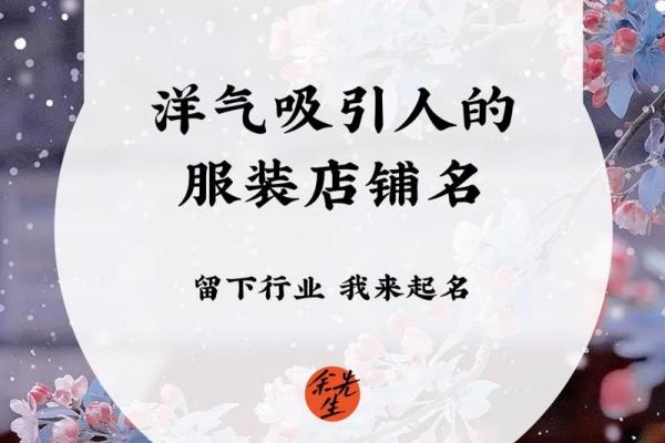 女装店铺名称设计：从时尚感到独特性全解析