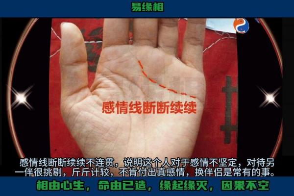 感情线手相解析：揭示你爱情运势的秘密