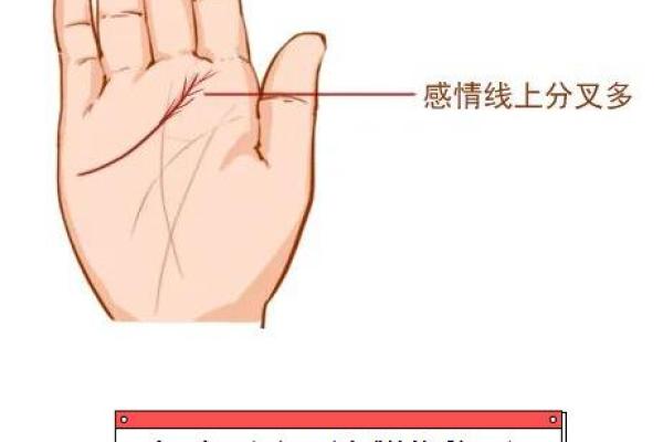 感情线手相解析：揭示你爱情运势的秘密