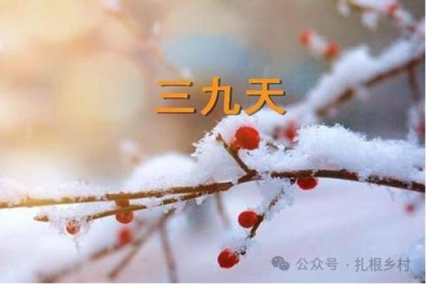 梦到下雪预示着什么样的运势变化