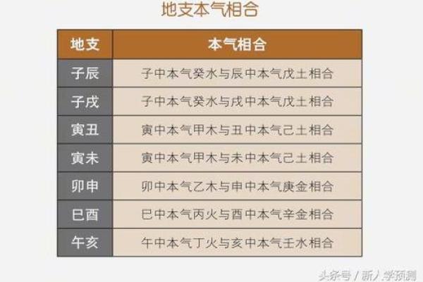 合字的五行属性解析及其在命理中的意义