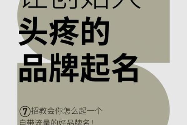 免费起名软件助力公司品牌打造