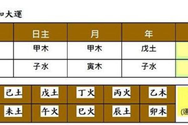 八字预测排盘软件选择指南：找对工具提升准确度