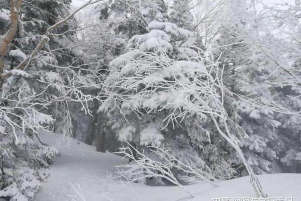 梦到下大雪，是否意味着运势即将改变？