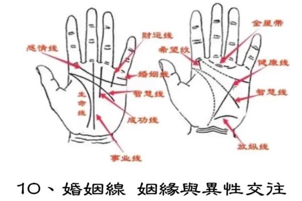 手掌纹路揭示未来：探索掌纹手相的奥秘