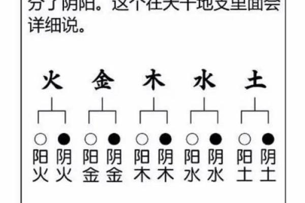 快速入门：如何测算自己的生辰八字