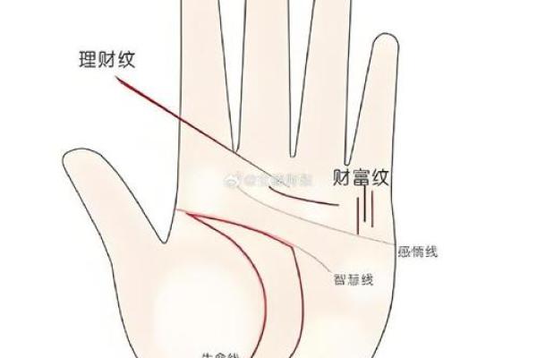 解读手相手纹的奥秘：掌握命运的线索