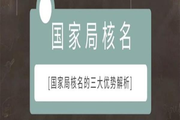 企业命名必须遵循的法律条款和要求