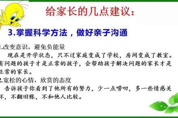 打造正能量居家环境的风水指南