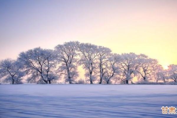 梦见下雪可能暗示的心理状态