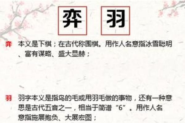 枫字的五行属性及其在命名中的应用解析