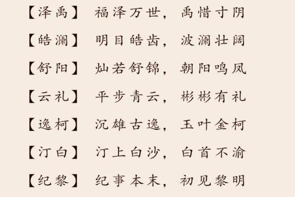 宝宝名字的文化含义与现代趋势解析