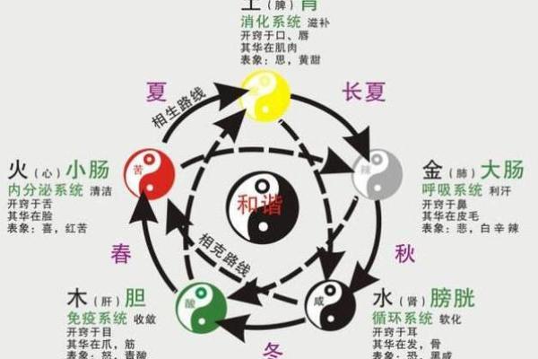 丞字五行属性解析及其寓意探讨