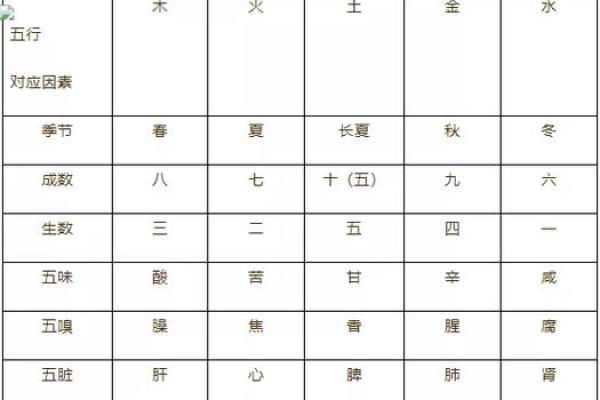 会字五行属性解析与命理影响分析