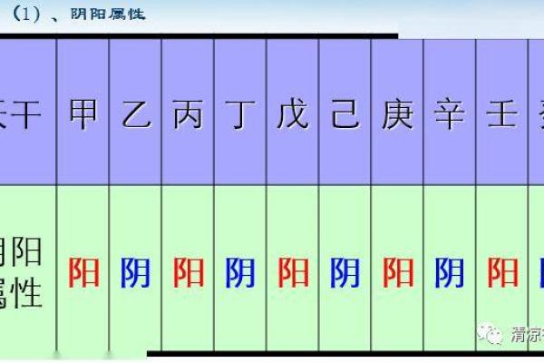 比在命理学中的深层含义与应用