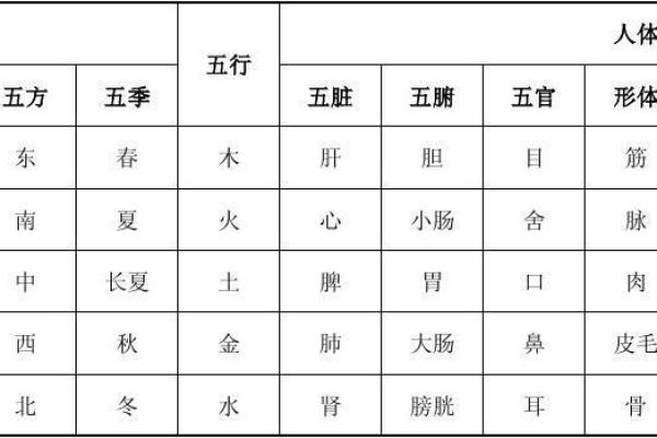 白字在五行中属于什么属性解析