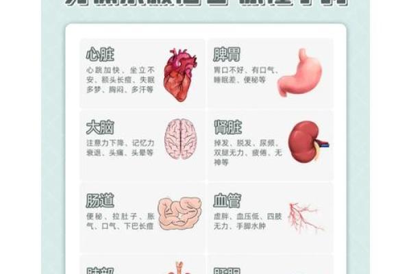 解析梦境中的怀孕，背后可能隐藏的心理信号