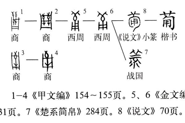 字取名的寓意与传统文化中的深刻象征意义