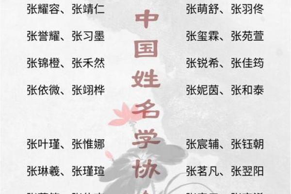 张姓宝宝起名的经典与创新之道