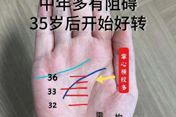 手相解读能改变你的未来吗？了解背后的科学依据