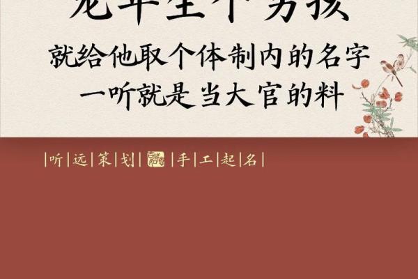 男宝宝命名：时尚与传统的完美结合