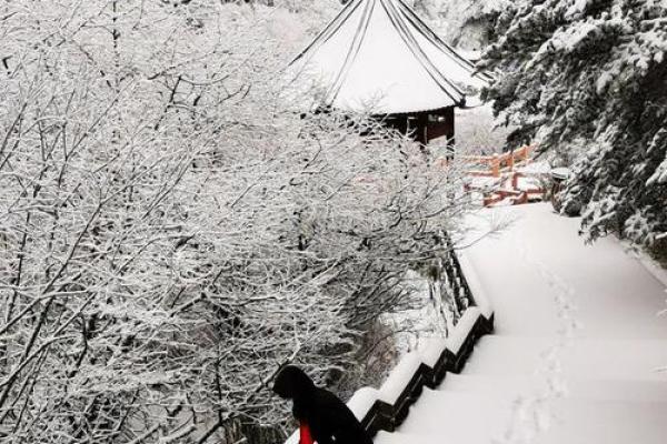 梦见大雪纷飞意味着什么？深度解析梦境背后的含义