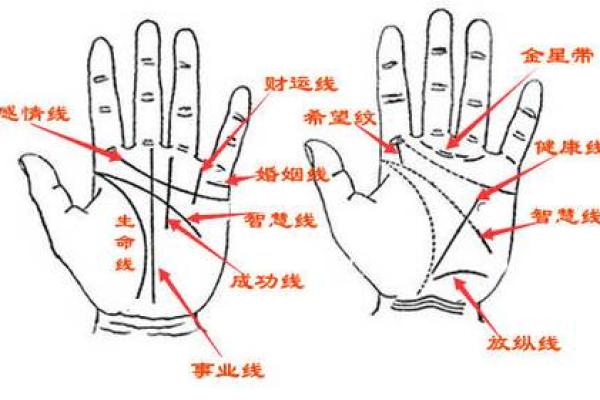 男士手相分析：手纹如何影响你的决策与人际关系