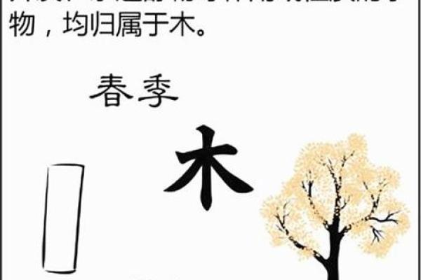 尔字的五行属性解析及其对命理的影响