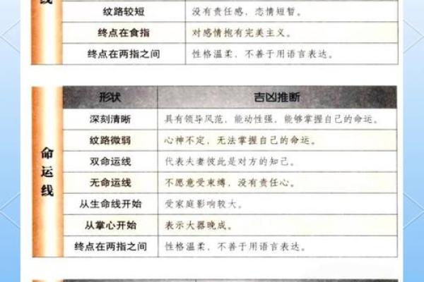 掌握手相学，洞察自己与他人的内心世界