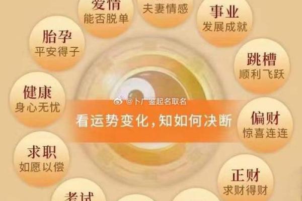 命运密码中的八字重量：掌握运势的核心力量