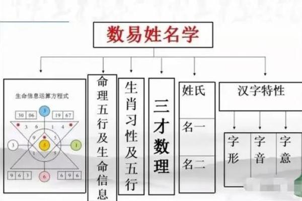 名字与运势：一款准确的姓名打分工具