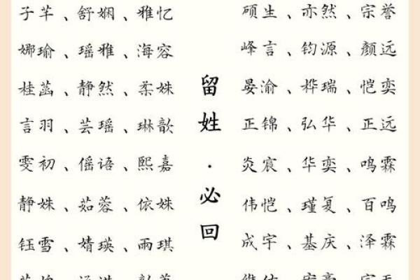 宝宝名字评分系统解析，轻松找到完美名字