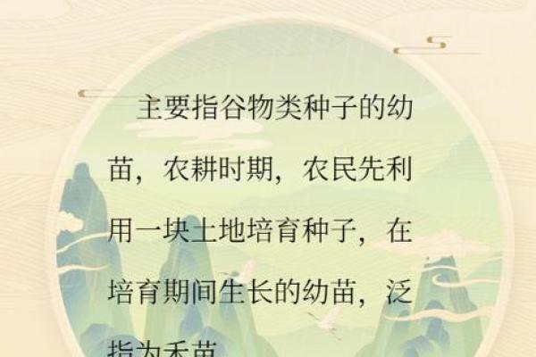 禾字五行属性解析及其在命理中的意义