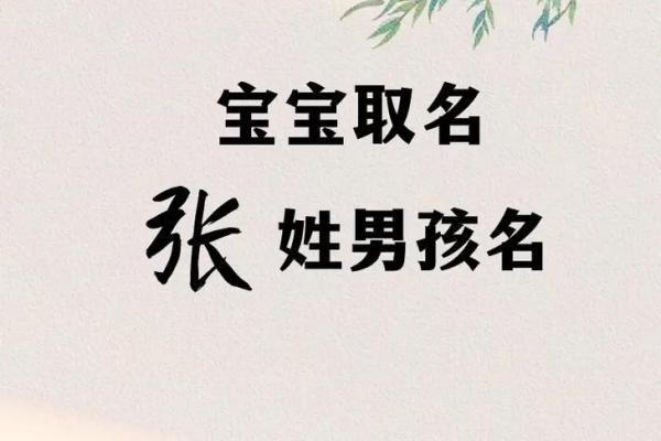 张姓起名艺术：如何使名字既有文化底蕴又有现代感