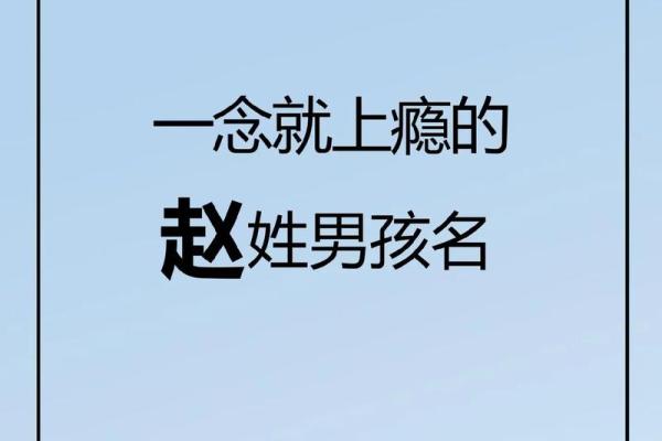 赵姓女孩名字精选：优雅与内涵兼备的命名策略