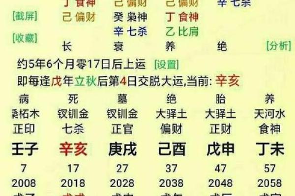 八字命理中的五行解析与运势关系