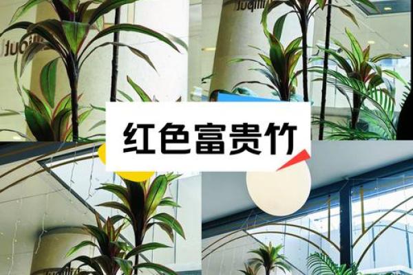 房宅风水改善方法：调整布局提升气场