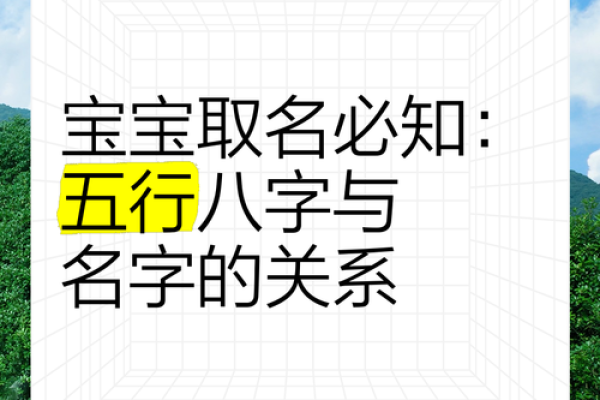 新生儿起名指南：父母必知的命名要点