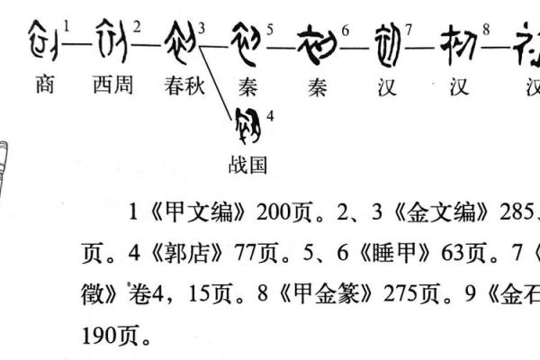 初字取名的独特魅力与文化内涵探索