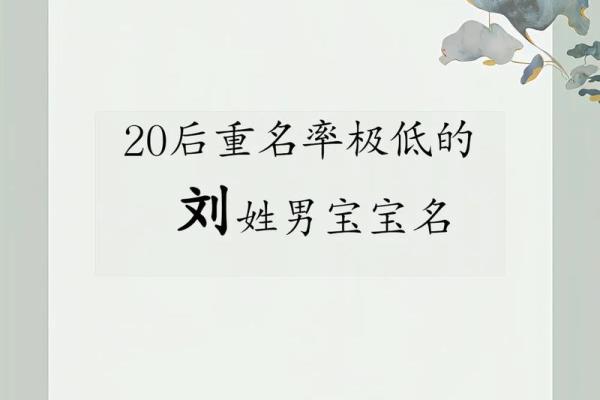 刘姓男孩起名宝典：独特有寓意的名字推荐