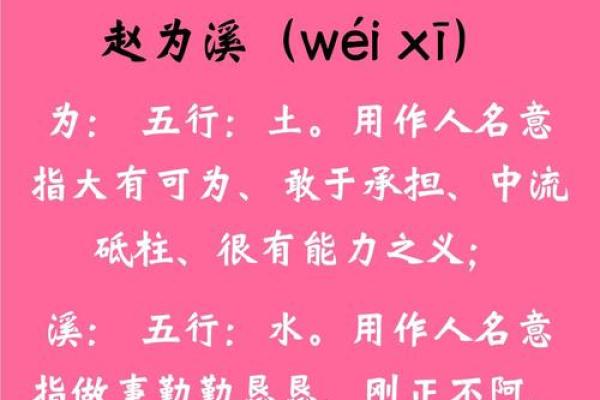 赵姓男孩取名技巧：从传统到现代的完美结合