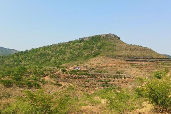 梦到爬山是否预示着人生的艰难旅程