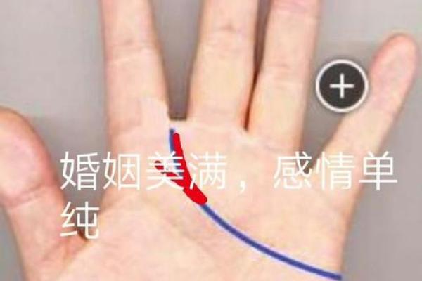 揭示旺夫手相的秘密：婚姻幸福的关键手纹