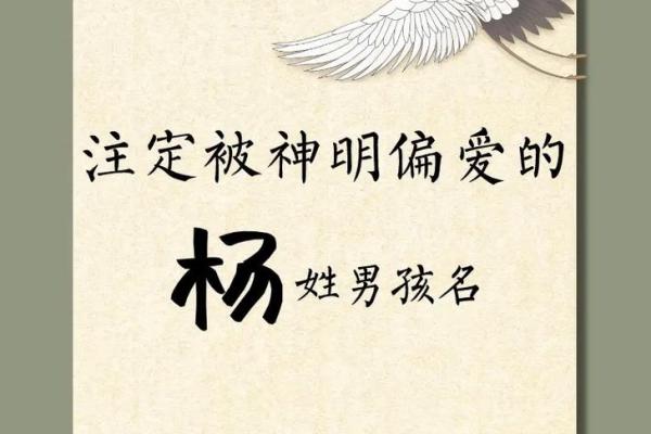 如何为杨姓宝宝取一个有意义且独特的名字