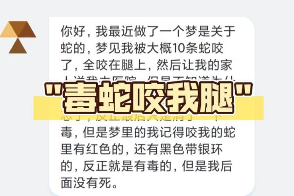 梦见家中有蛇暗示着什么？深度解析其象征意义与心理解读